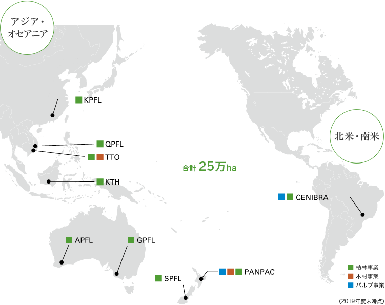 海外植林地面積（2013年度末時点）