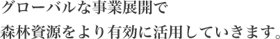 グローバルな事業展開で森林資源をより有効に活用していきます。